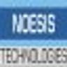 Noesis IT logo